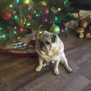 Meet your Posher, Connie